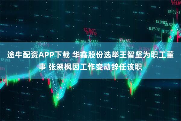 途牛配资APP下载 华鑫股份选举王智坚为职工董事 张溯枫因工作变动辞任该职