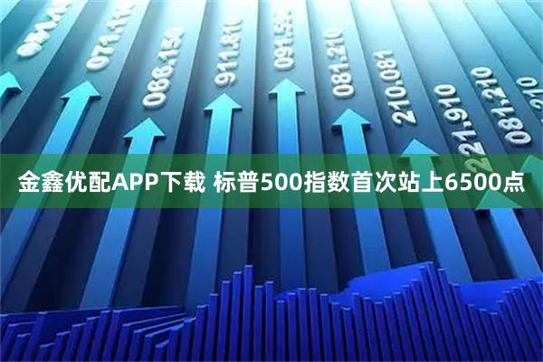 金鑫优配APP下载 标普500指数首次站上6500点