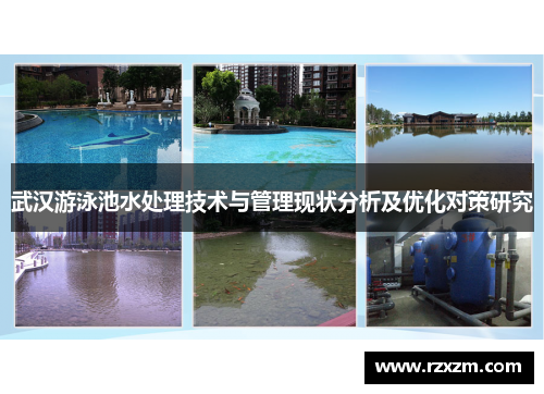 武汉游泳池水处理技术与管理现状分析及优化对策研究
