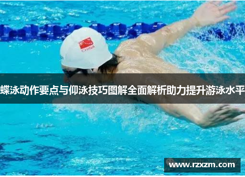 蝶泳动作要点与仰泳技巧图解全面解析助力提升游泳水平
